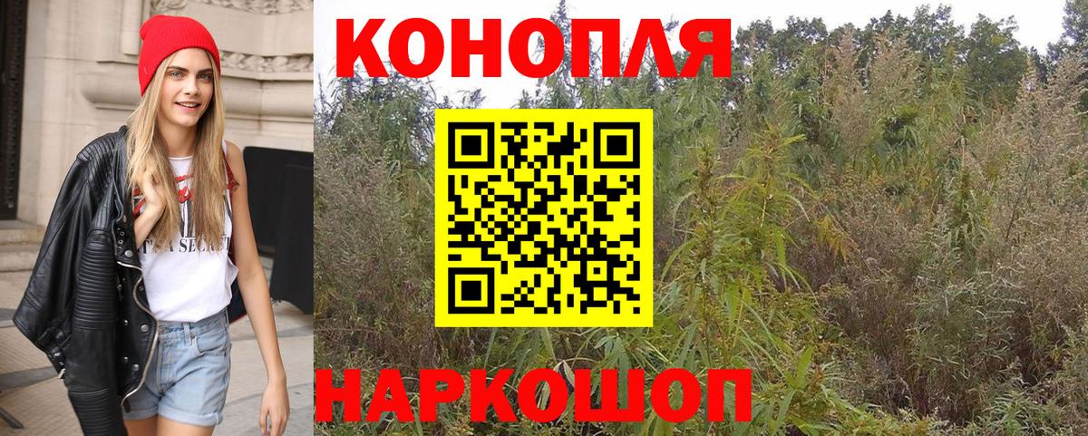 Конопля Bruce Banner Новозыбков